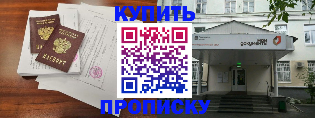 прописка для школы в Курчалом