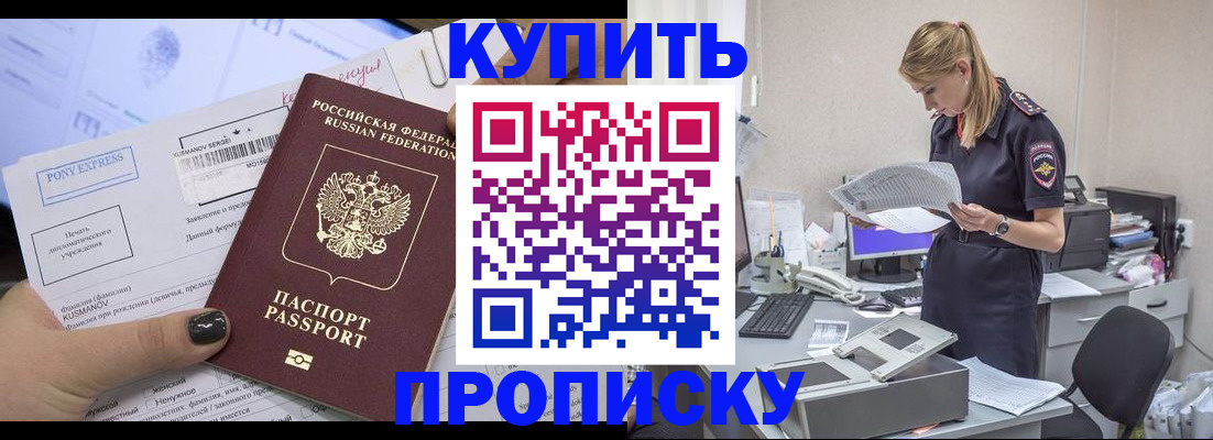 временная регистрация поиск в Курчалом